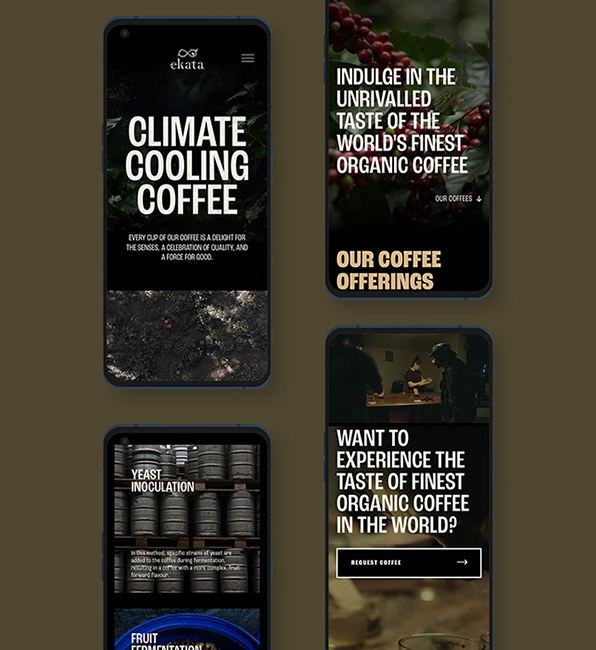 Ekata Coffee Website Pages Phone View